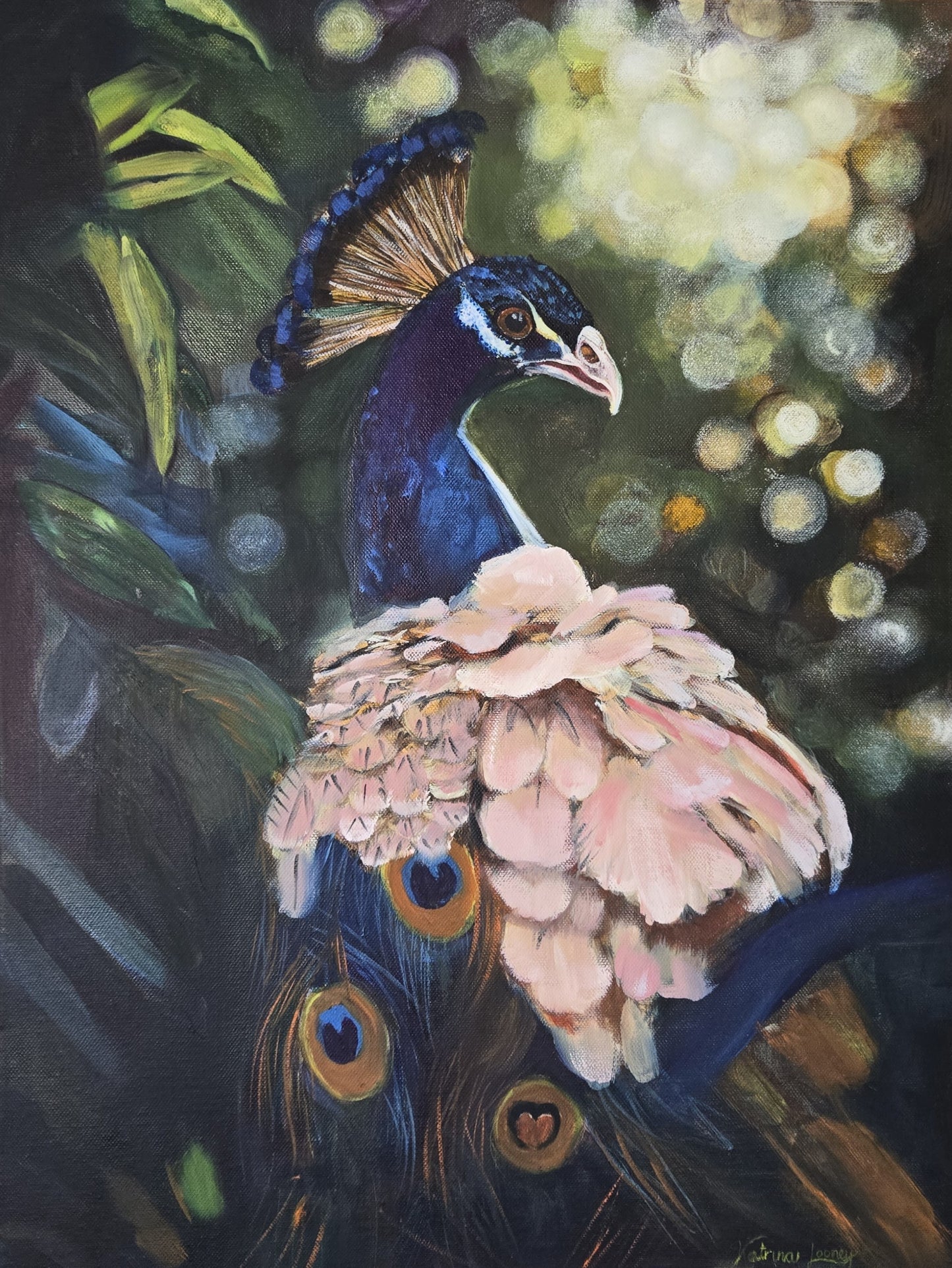 Feathers of Light
