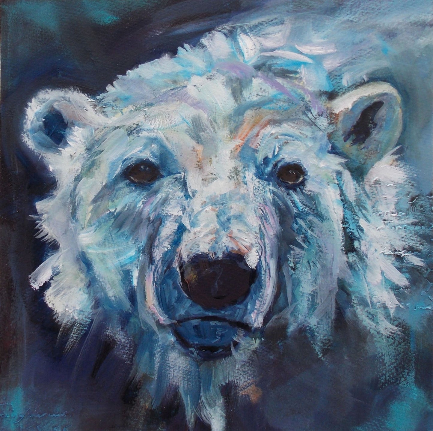 Bear 2