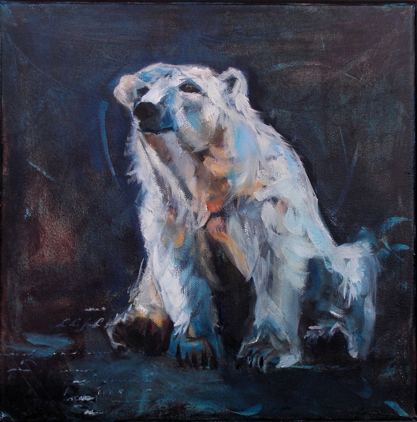 Bear 6
