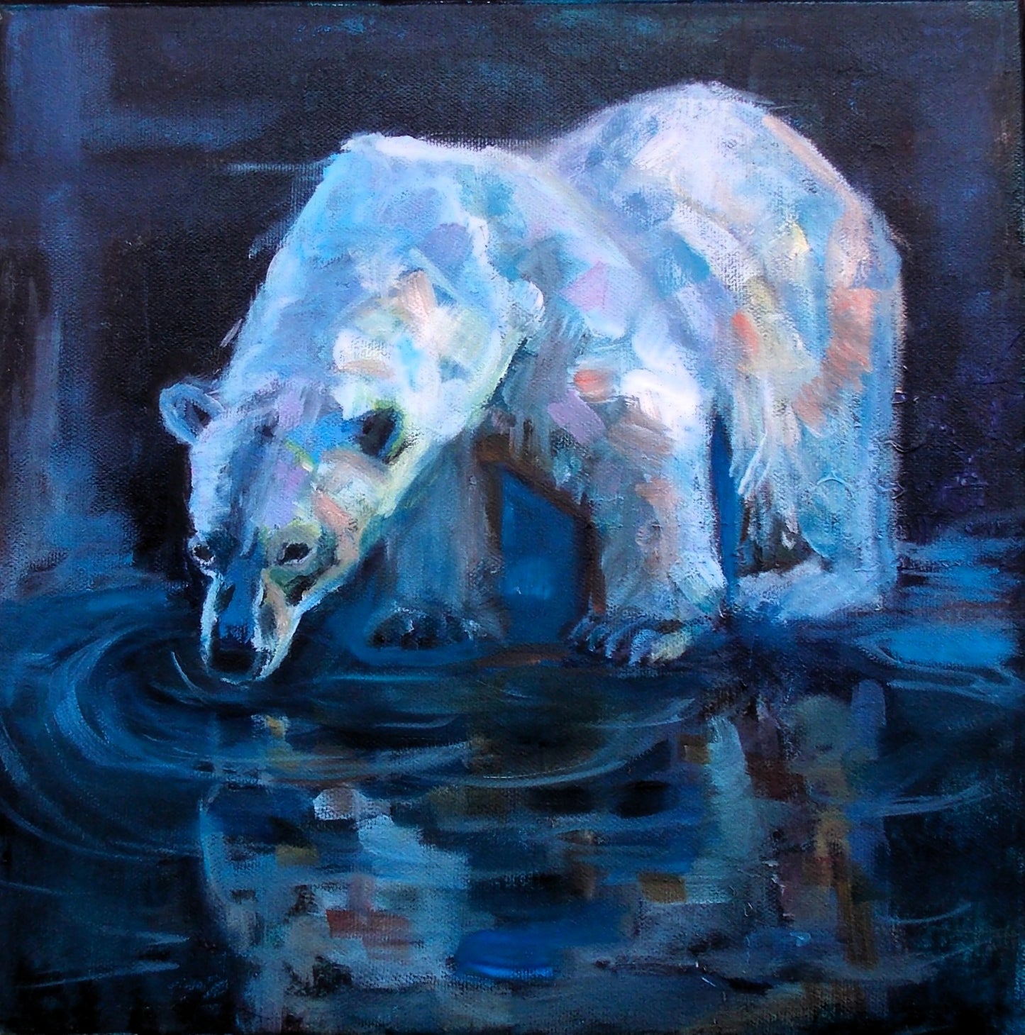 Bear 9