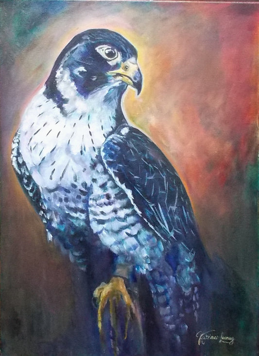 Falcon